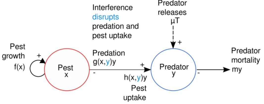 Figure 4.1: The trophic responses are directly dependent on the predator density.