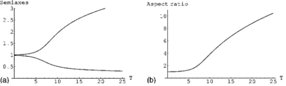 FIG. 4. 共 a 兲 Evolution of the semiaxes ⌫⫾ ␯ at height z