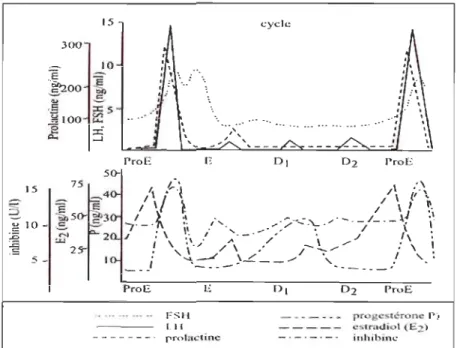 FIGURE  1.3  :  Profils hornlonaux chez la rate au cours  du cycle oestral.  Le début  du proestrus  (ProE)  est  caractérisé  par une  élévation  d'estradiol  sui vi  d 'une  hausse  de  progestérone