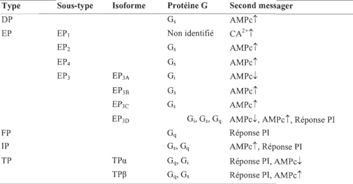 Tableau  1.1  :  La transduction  des  signaux par les  récepteurs  des  prostaglandines  (Narumiya et al  1999) 