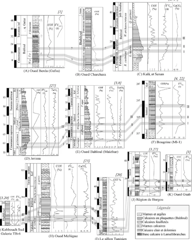 Figure 3 – Essai de corrélation entre les différents domaines de dépôt à partir des profils isotopiques  de δ 13 C de COT et de CaCO 3 