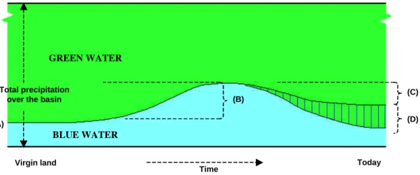 Figure 6. The height of the figure equals the yearly precipitation over the basin. The  figure shows how this water quantity “leaves the basin” (see also Figure 1) as a green or  a blue water flow and how this partitioning changes over time
