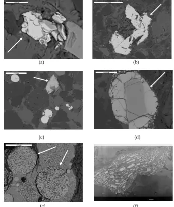 Fig. 6. (a) Scanning electron micrograph of a magnetite crystal, (b) Scanning electron micro- micro-graph of an hematite crystal (c) Scanning electron micrograph of an ilmenite crystal, (d)  Scan-ning electron micrograph of chromite crystal, (e) Backscatte