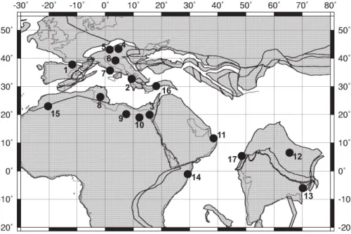 Fig. 3. Localities of studied early Paleogene carbonate platforms. The plate tectonic recon- recon-struction of the Tethys (55 Ma) is constructed from data files used in (http://www.odsn.de/odsn/