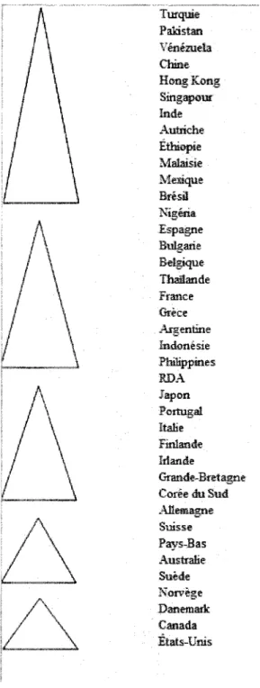 Figure 2.4: Les triangles des niveaux hiérarchiques (Trompenaars,  1993) 