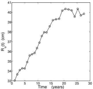 Figure 6. Schematic representation of the CMB on a meter scale. The parameters v and n are the velocity of the laminar flow beneath the CMB and the unit vector normal to the topography, respectively.