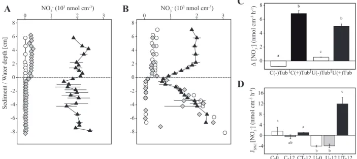 Figure 5. Dissolved nitrate concentration profiles in uncontaminated (A) and U-spiked sediment (B) in the different treatments: at initial conditions [C-0] and [U-0] (), and after 12 days without [U-12] ( ♦ ) or with [UT-12] ( N ) T