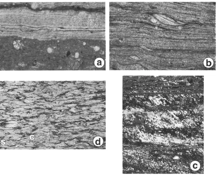 Figure 8.  Microstructural characters  of Lansang gneisses. (a)  Mylonitic  calcsilicate marbles (sample TA43,  located on Figure 4)