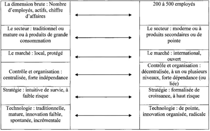 Figure 2:  Typologie sur continuum de Julien (2005b) 