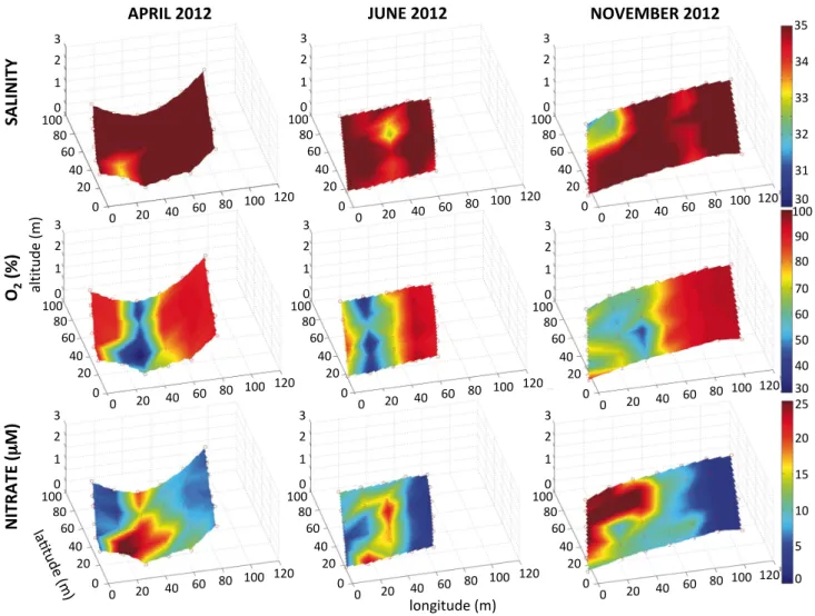 Figure  10:  Salinity  (top),  oxygen  saturation  (middle,  in  %)  and  nitrate  concentration  (bottom,  in  µM)  in  pore  water  along  a  60-m-long  grid  in  April  (left),  June  (middle)  and  November (right) 2012