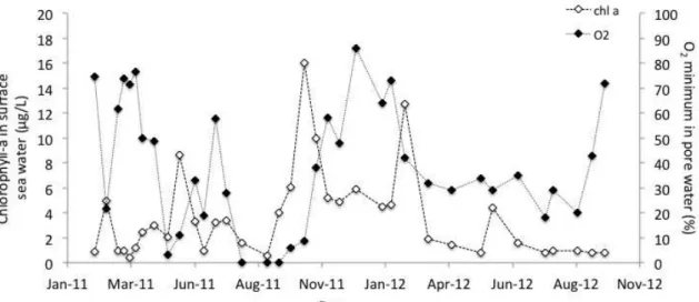 Figure 14: O 2  minimum (%) in pore waters and chlorophyll-a (µg/L) in surface seawater  from February 2011 to October 2012, in the Truc Vert beach