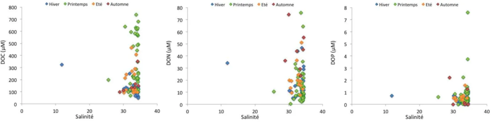 Figure 21 : Concentrations en DOC, DON et DOP des eaux porales de salinité inférieure  à 34,5 de la plage du Truc Vert