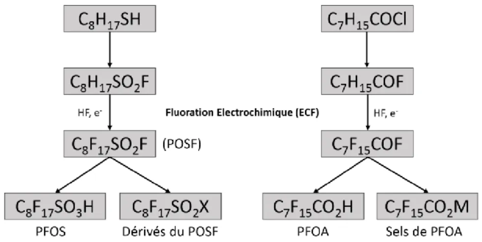 Figure 4 : synthèse du PFOS, du PFOA et de leurs dérivés par fluoration électrochimique 