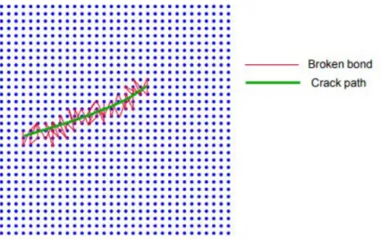 Figure 1.19: Crack growth in a peridynamic solid is determined by damage to bonds in many directions