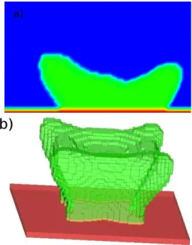 Figure 3.2 – Distribution spatiale de la biomasse simulé dans le cas d’une concentration de substrat imposée sur la limite supérieure du domaine, en absence d’écoulement