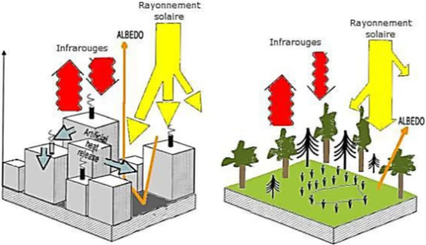 Figure 5. Flux d’énergie de rayonnement au-dessus d’une zone urbaine (gauche) et d’une zone rurale  (droite) 