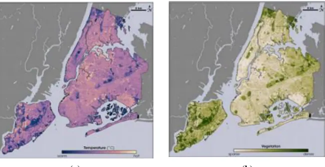 Figure 6. Influence de l’occupation de sol sur la température en ville ((a) image infrarouge d’une journée à  New York (NASA, Landsat 7), (b) image de localisation de végétation sur la même zone) 