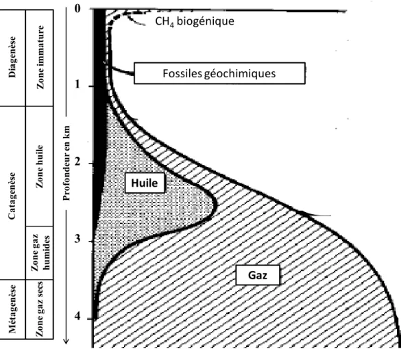 Figure 4. Schéma général des étapes de formation des hydrocarbures en fonction de la profondeur de la roche-mère  (d’après Tissot et Welte, 1984) 