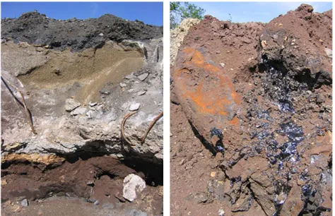 Figure 0-2 : Photographies d'anthroposols prises sur le site de l'ancienne cokerie d'Homécourt