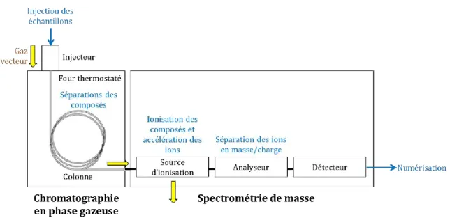 Figure 2-14 : Montage du couplage chromatographie en phase gazeuse / spectrométrie de masse (CPG/SM)