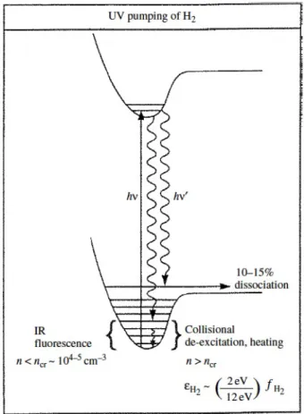 Figure 1.9: Diagram illustrating the UV pumping of the H 2 molecule. From Tielens (2005).