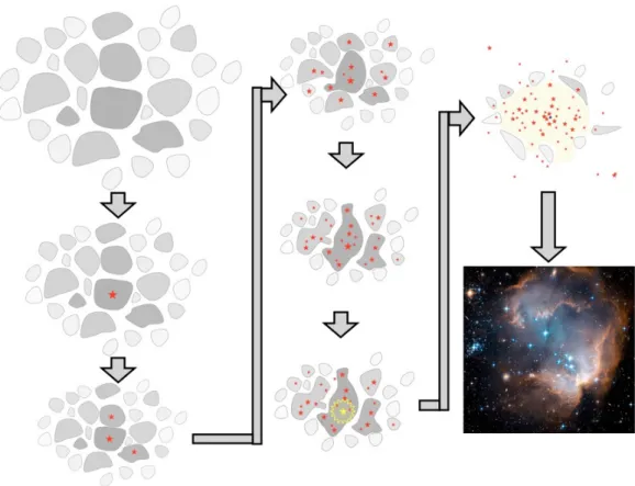 Figure 1.16: Formation of a stellar cluster from a turbulent molecular cloud. The shaded areas correspond to fragmented molecular gas, where the grey scale represent its density (more dense more obscured)