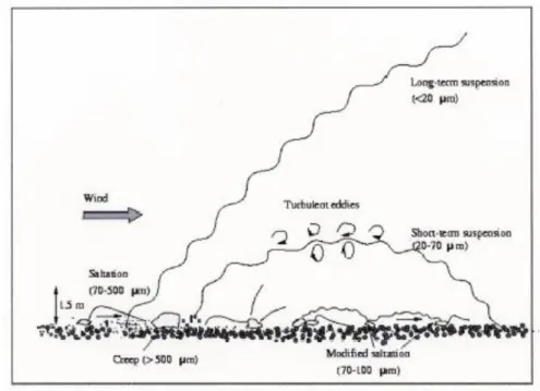 Figure 1. 16 Mouvements des grains du sol sous l’action du vent en fonction de leur diamètre  (Shao and Lu, 2000) 