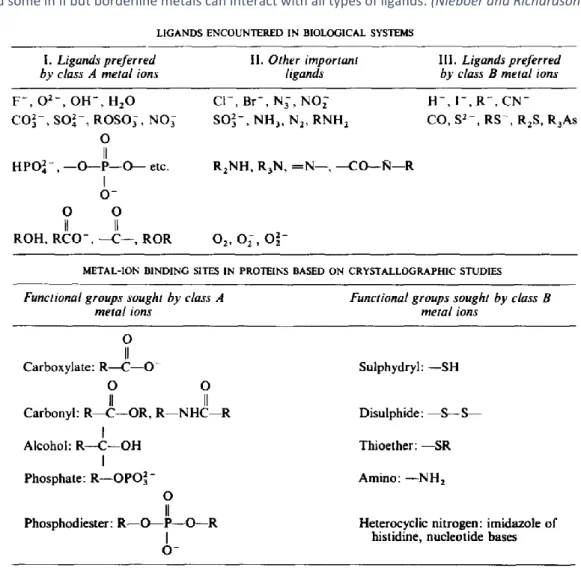 Table 10. Class A/B and borderline metal-binding ligands encountered in biological systems (upper table) and  specific  amino  acid  functional  groups  (bottom  table)