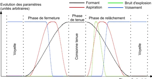 Figure 7 – Exemple d’évolution des paramètres de la transition articulatoire pour une séquence V/p/V