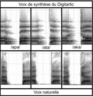 Figure 9 – Spectrogrammes (sur environ 400 ms, 0 − 6000 Hz) de séquences V CV du Digitartic et de voix naturelles, pour trois occlusives