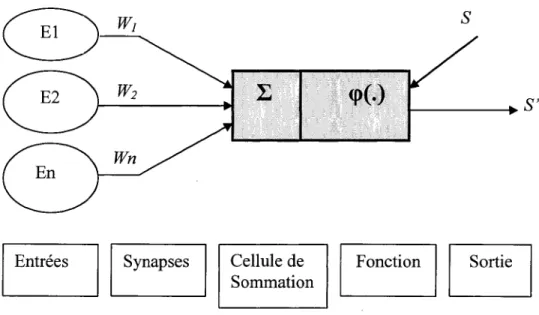 Figure II.4  :  Structure d'un neurone artificiel. 