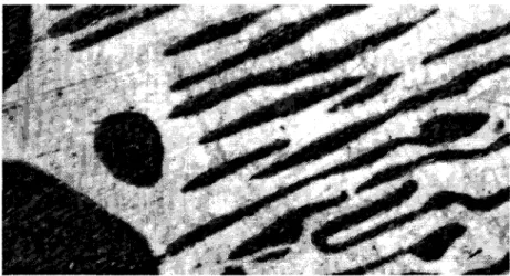 Tableau 111.1  :  Filtrage par la moyenne. 
