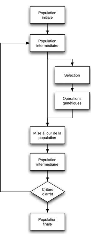 Fig. 5.6 – Schéma générique d’un algorithme génétique