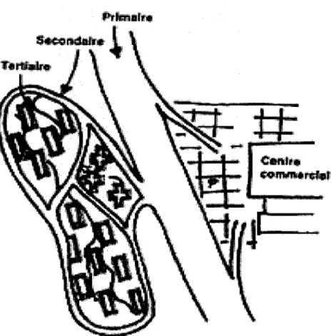 Figure 1.  Voiries primaire, secondaire, tertiaire - Une illustration.  (Gourdon, 1992) 