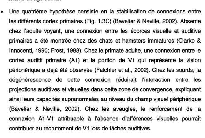 Figure 1.3 : Mécanismes hypothétiques de la plasticité intermodale. 