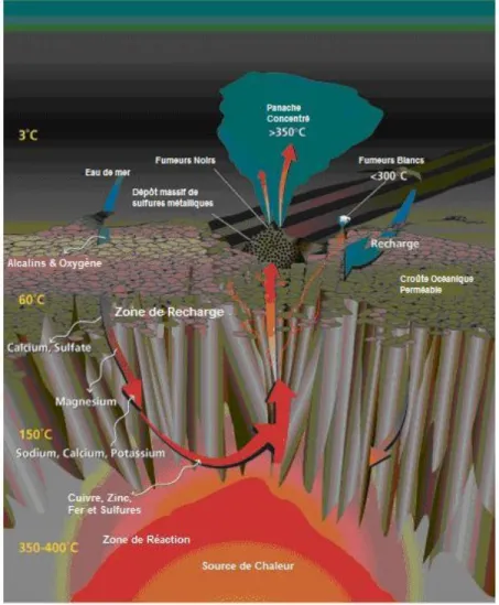Figure 6 : Schéma de fonctionnement des systèmes hydrothermaux MOR (d’après (Humphris &amp; 