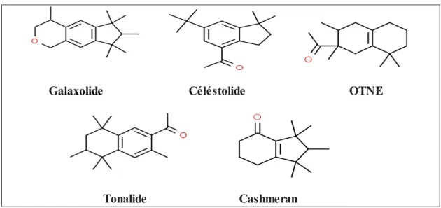 Figure  5.  Structure  des  muscs  polycycliques  étudiés :  galaxolide  (HHCB),  céléstolide  (ADBI),  OTNE, 