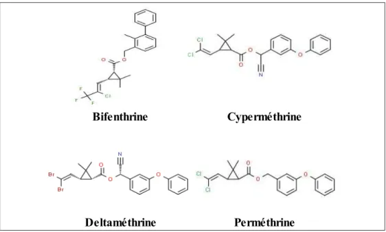 Figure  7.  Structure  des  pyréthrinoïdes  étudiées :  bifenthrine,  cyperméthrine,  deltaméthrine  et  perméthrine