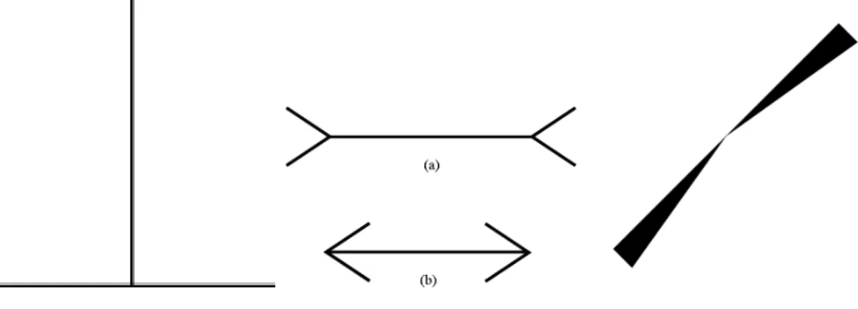 Fig. 2.20 – L’illusion visuelle Vertical-Horizontal et celle de Müller-Lyer.