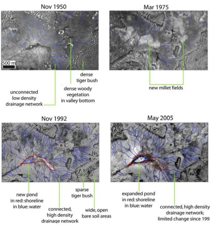 Figure 2.9 Evolution de l’occupation des sols (brousse tigrée, champs de mil, surfaces dégradées) et du réseau  de drainage (mares et ravines) de 1950 à 2005