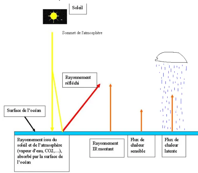 Figure 1.2 : Echanges de chaleur entre l’océan et l’atmosphère