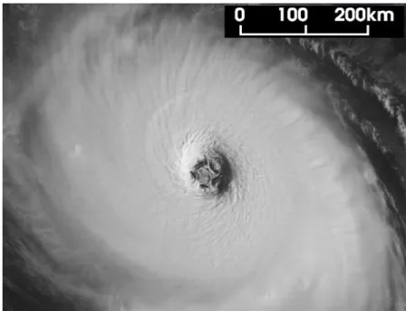 Figure 1.5 – Photo satellite (canal visible) de l’ouragan Isabel prise le 12 Septembre 2003.