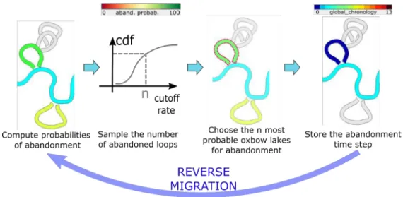 Figure 2.6 Workflow of abandoned meander draw through probability distribution at a given reverse migration time step