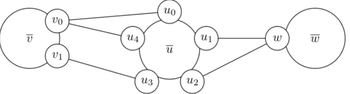 Figure 1.2 – On distingue soigneusement les interfaces de u (u 0 , . . . , u 4 ), les interfaces voisines de u (v 0 , v 1 , w) et enfin les voisins de u (v, w)