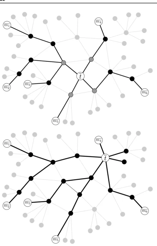 Figure 2.12 – Les liens en noir sont parcourus par des sondes traceroute , les liens en gris ne le sont pas