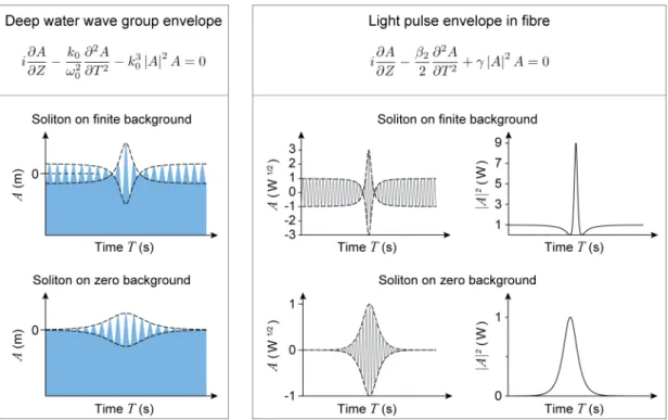 Figure 2.10: The NLSE describes wave evolution in diﬀerent physical systems. (a) Wave group envelope u on deep water