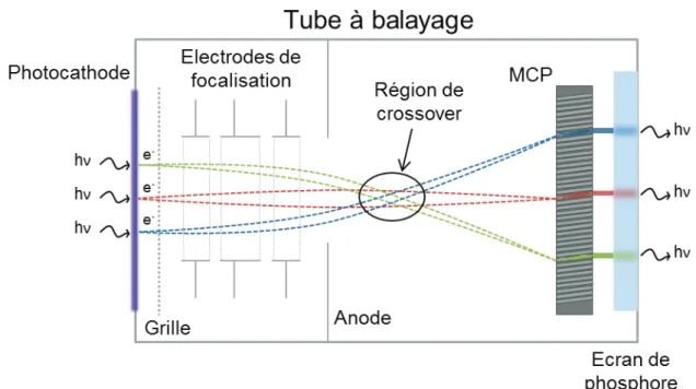 Figure II-8 : Principe de focalisation électrostatique en mode statique dans le plan  contenant la fente 