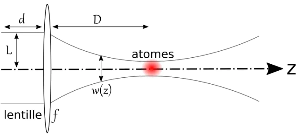 Figure 2.10 – Sch´ema simplifi´e du faisceau de sonde. La largeur au col du faisceau w(z) ` a la position des atomes est calcul´ee, puis mesur´ee par une m´ethode de Foucaultage.