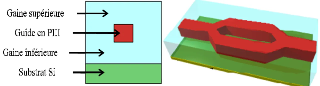 Figure 2- 7 : Vue de la structure  optique à