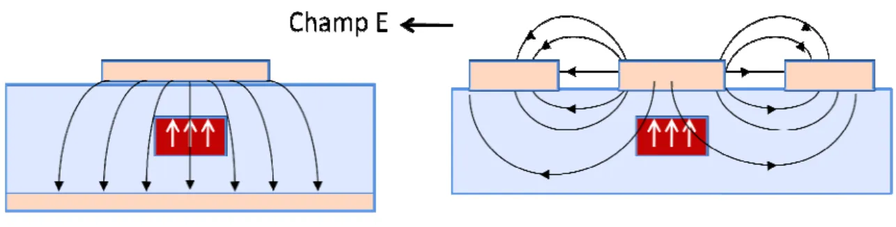 Figure 2- 9 : Lignes de champ électrique appliqué par l’électrode de commande et l’orientation des 